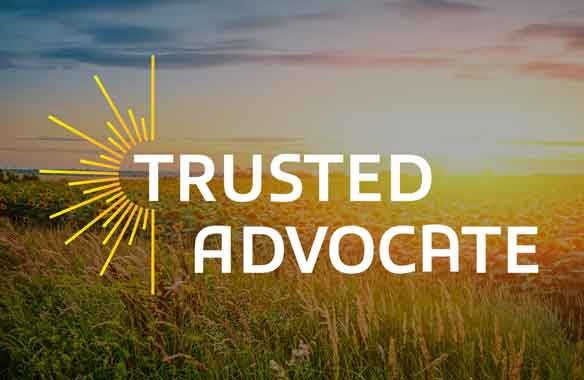 Trusted Advocate logo: white type with yellow sun ray graphic on sunset photo of wheat plain.